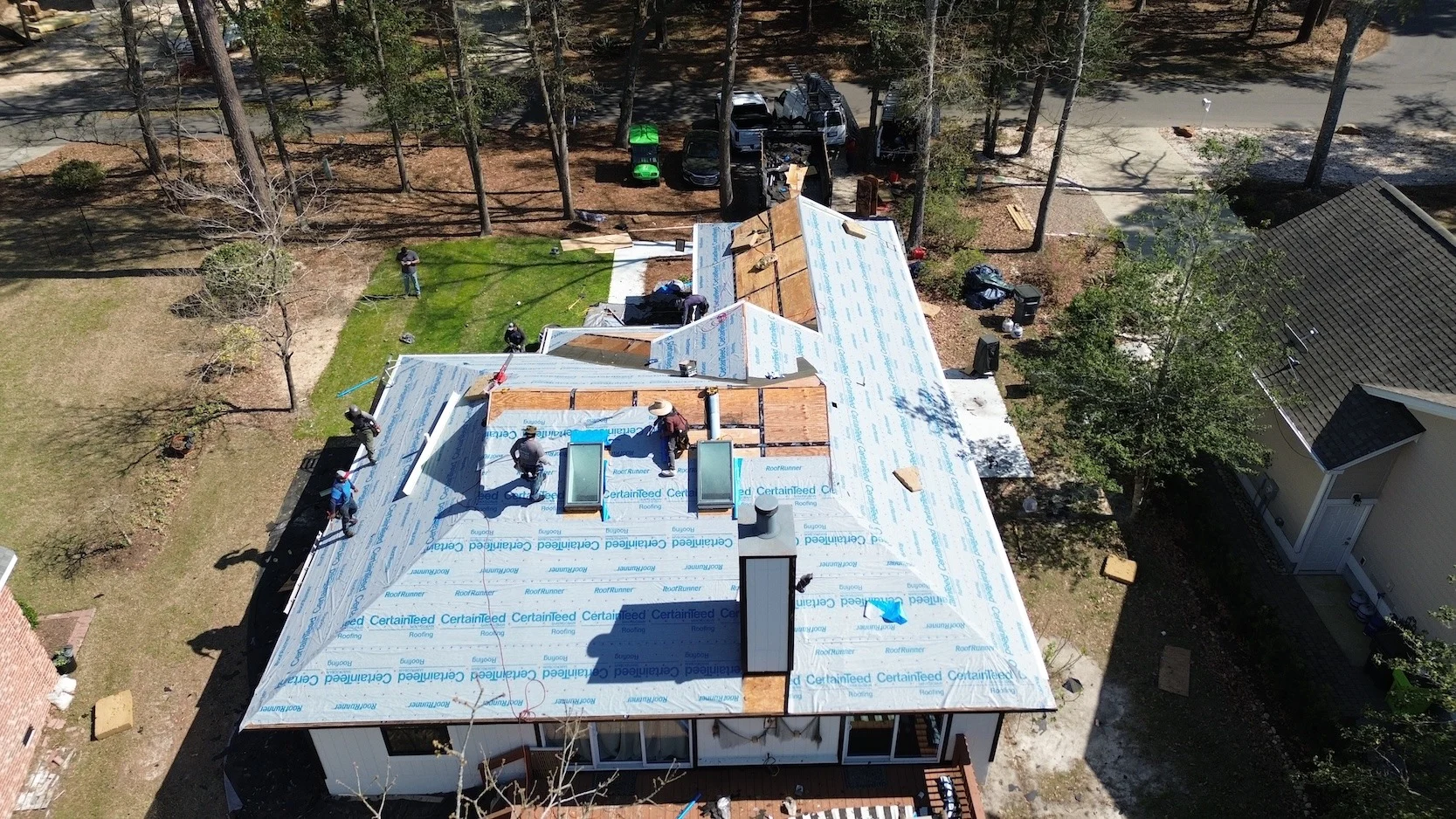 identifying roof mold