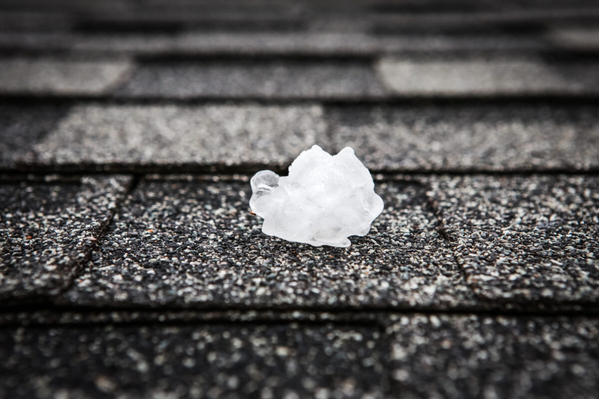 hail damage roof repair ice piece on top of shingles